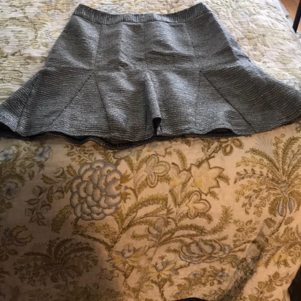Banana Republic Silver Skirt Petite 2 or Size 0